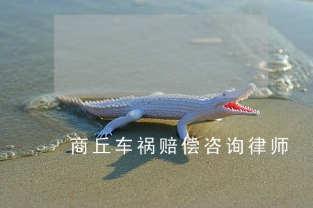 商丘车祸赔偿咨询律师 商丘车祸赔偿咨询律师