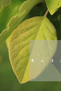 商丘违法占地五洲国际商贸城 商丘违法占地五洲国际商贸城