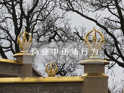 商业中违法行为 商业中违法行为