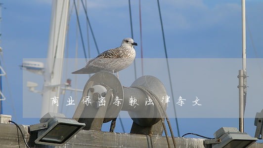 商业保密条款法律条文