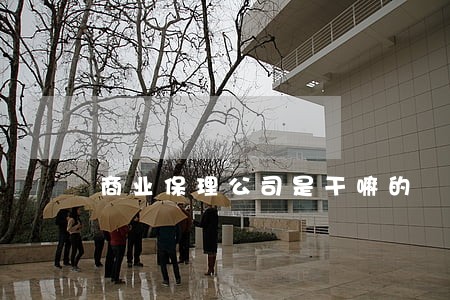 商业保理公司是干嘛的 商业保理公司是干嘛的
