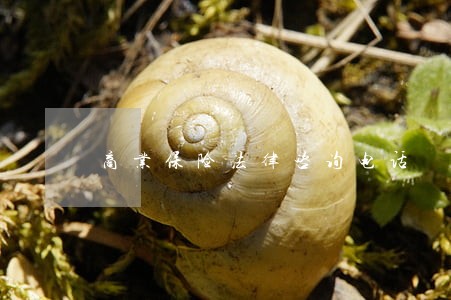 商业保险法律咨询电话 商业保险法律咨询电话