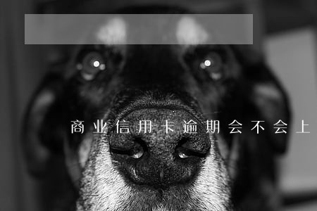 商业信用卡逾期会不会上征信 商业信用卡逾期会不会上征信