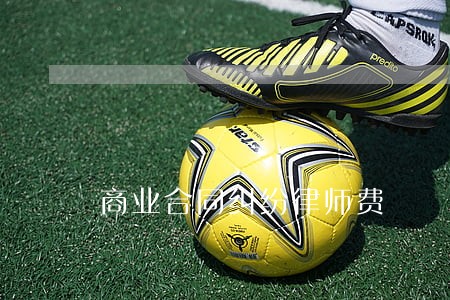 商业合同纠纷律师费 商业合同纠纷律师费