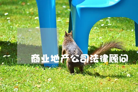 商业地产公司法律顾问
