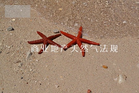 商业地产天然气法规 商业地产天然气法规