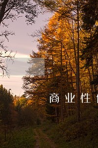 商业性债转股的法律问题研究 商业性债转股的法律问题研究