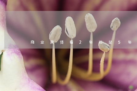 商业房贷看2年还是5年逾期 商业房贷看2年还是5年逾期