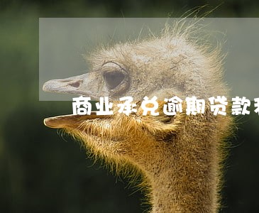 商业承兑逾期贷款利息 商业承兑逾期贷款利息