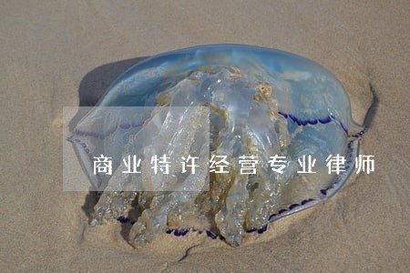 商业特许经营专业律师 商业特许经营专业律师