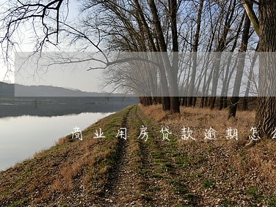 商业用房贷款逾期怎么办 商业用房贷款逾期怎么办