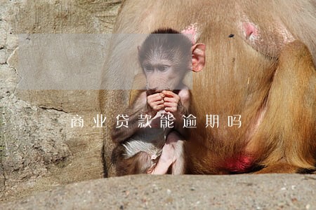 商业贷款能逾期吗 商业贷款能逾期吗