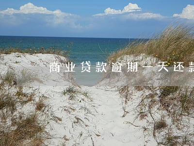 商业贷款逾期一天还款 商业贷款逾期一天还款