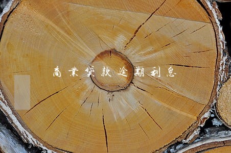 商业贷款逾期利息 商业贷款逾期利息