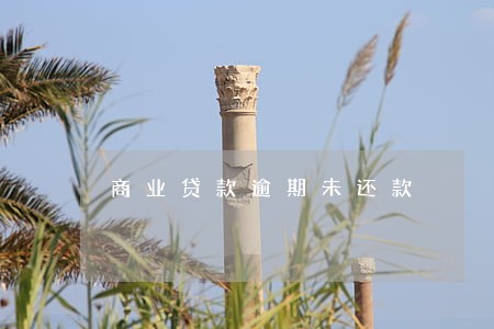 商业贷款逾期未还款 商业贷款逾期未还款