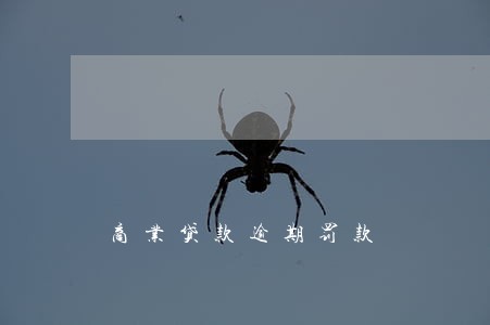 商业贷款逾期罚款 商业贷款逾期罚款