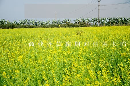 商业还款逾期对信用卡吗 商业还款逾期对信用卡吗