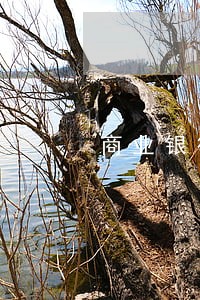 商业银行信用卡逾期