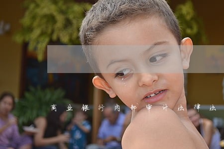 商业银行内部审计法律法规 商业银行内部审计法律法规