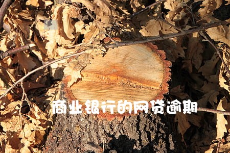 商业银行的网贷逾期 商业银行的网贷逾期