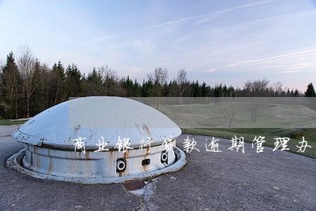 商业银行贷款逾期管理办法 商业银行贷款逾期管理办法