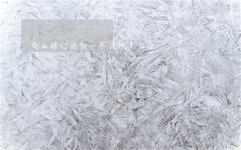商业银行逾期一年我该怎么办 商业银行逾期一年我该怎么办