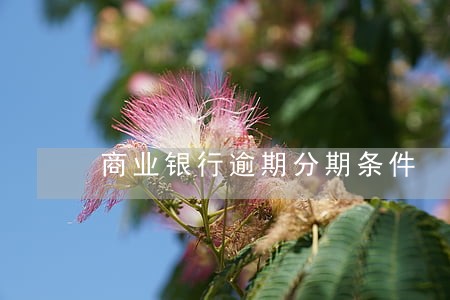商业银行逾期分期条件 商业银行逾期分期条件