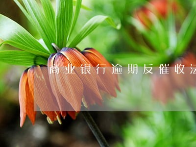 商业银行逾期反催收法律技巧 商业银行逾期反催收法律技巧
