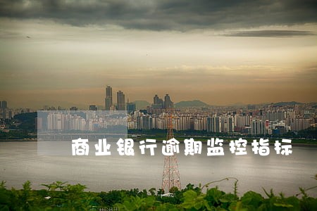 商业银行逾期监控指标 商业银行逾期监控指标