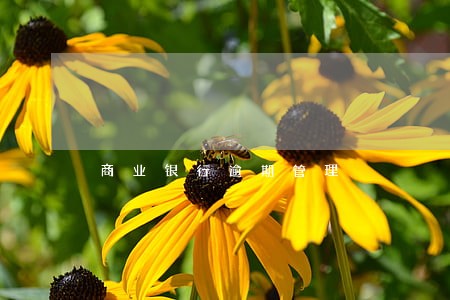 商业银行逾期管理