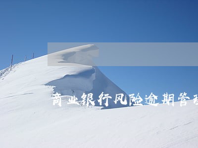 商业银行风险逾期管理需求文档 商业银行风险逾期管理需求文档