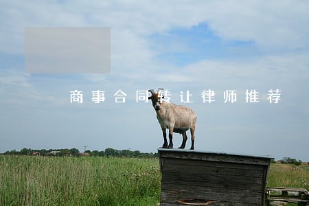 商事合同转让律师推荐 商事合同转让律师推荐