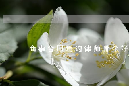 商事合同违约律师哪个好 商事合同违约律师哪个好