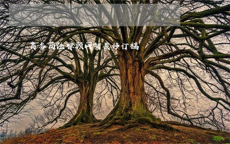 商务局法律顾问制度修订稿 商务局法律顾问制度修订稿