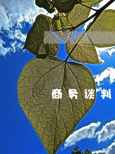 商务谈判法律顾问介绍 商务谈判法律顾问介绍