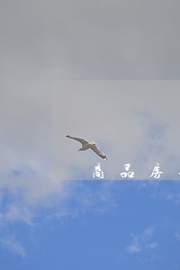 商品房买卖纠纷律师费多少 商品房买卖纠纷律师费多少