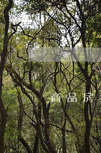 商品房买卖逾期90天解除合同 商品房买卖逾期90天解除合同