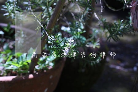 商品房法律咨询律师 商品房法律咨询律师
