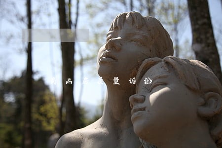 商品房质量诉讼 商品房质量诉讼