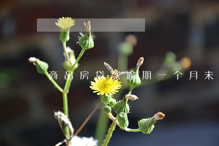 商品房贷款逾期一个月未还 商品房贷款逾期一个月未还
