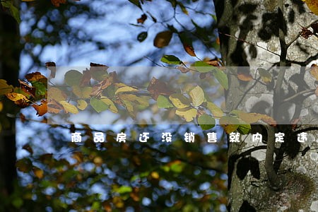 商品房还没销售就内定违法吗 商品房还没销售就内定违法吗