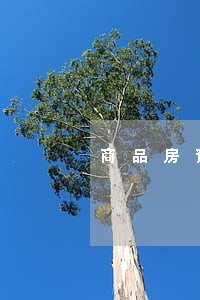 商品房预售管理办法司法解释 商品房预售管理办法司法解释