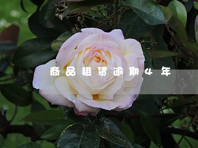 商品租赁逾期4年 商品租赁逾期4年