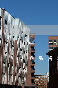 商品贷款逾期 商品贷款逾期