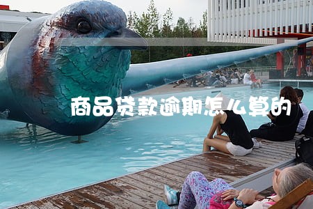 商品贷款逾期怎么算的 商品贷款逾期怎么算的