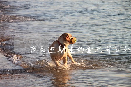 商品逾期违约金只有万分之05 商品逾期违约金只有万分之05