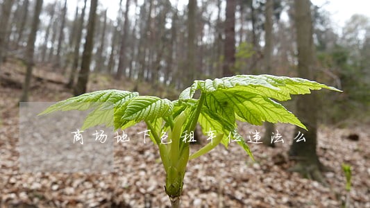 商场地下包租车位违法么 商场地下包租车位违法么