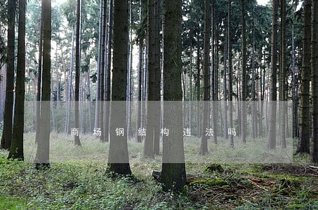 商场钢结构违法吗 商场钢结构违法吗