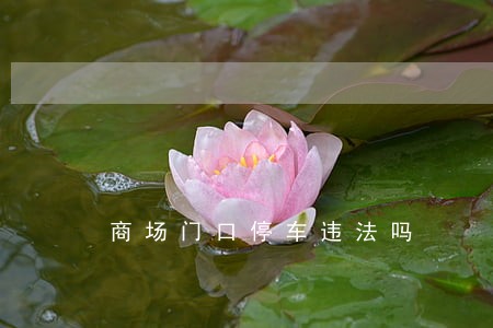 商场门口停车违法吗 商场门口停车违法吗