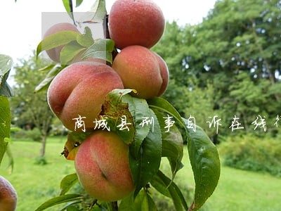 商城县刑事自诉在线律师 商城县刑事自诉在线律师